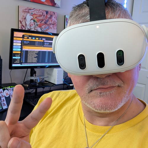 Vis in VR